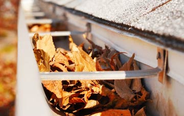 Lilliesleaf gutter cleaning companies